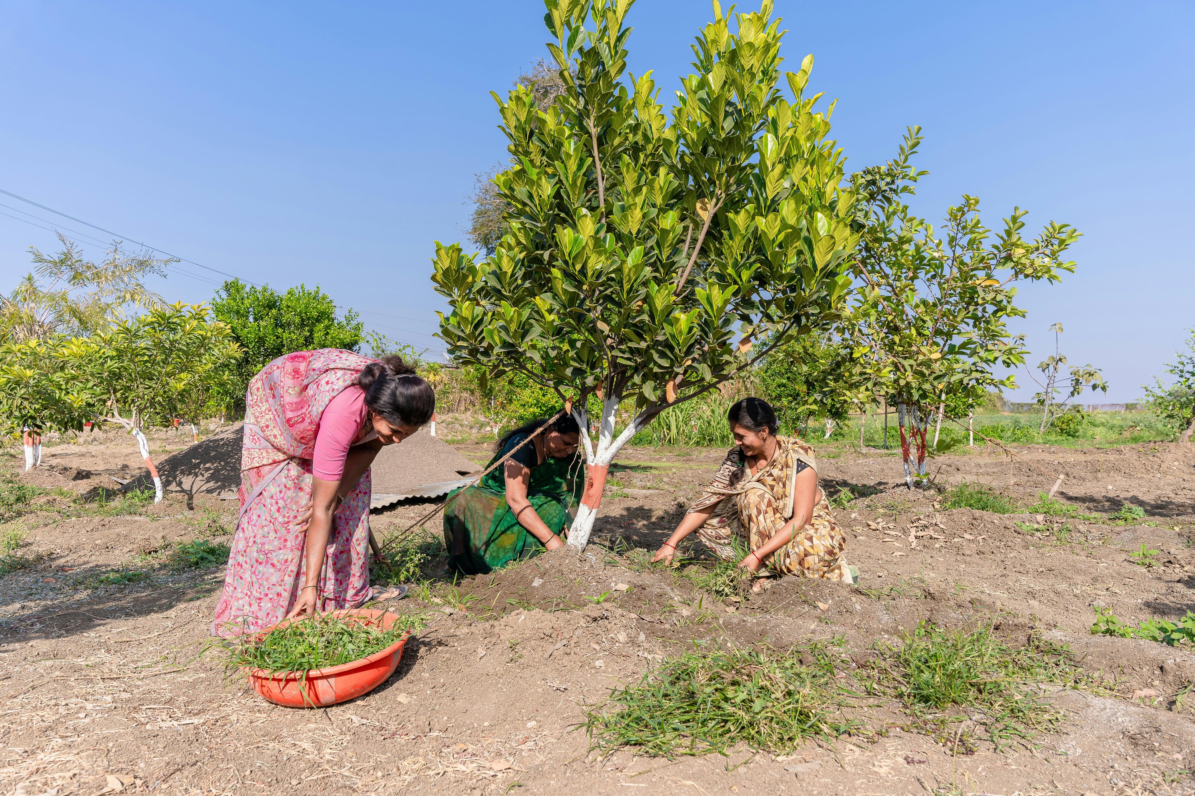 N.A.V Yuva Foundation Programs